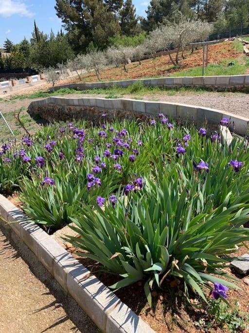 El-Cortijo Villa Siete Aguas Ngoại thất bức ảnh